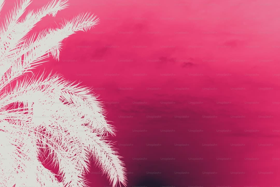东芝“火箭炮SOUND”破局：独立芯片+三维声场界说高端电视音质新标准